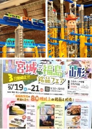 楽しい1 日